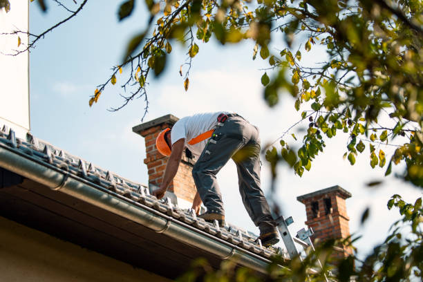 Best Affordable Roofing Company  in Lake Camelot, WI